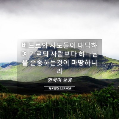 Picture 05 - 사도행전 5:29 KOR - 베드로와 사도들이 대답하여 가로되 - Bible Verse Picture