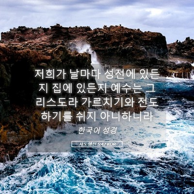 Picture 05 - 사도행전 5:42 KOR - 저희가 날마다 성전에 있든지 집에 - Bible Verse Picture