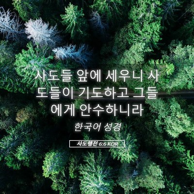 Picture 05 - 사도행전 6:6 KOR - 사도들 앞에 세우니 사도들이 - Bible Verse Picture