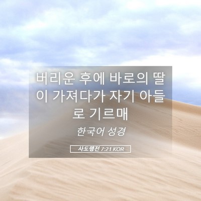 Picture 05 - 사도행전 7:21 KOR - 버리운 후에 바로의 딸이 가져다가 - Bible Verse Picture