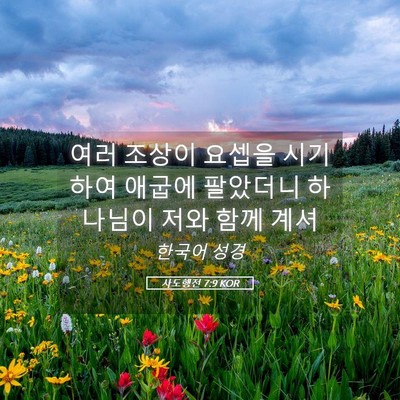 Picture 05 - 사도행전 7:9 KOR - 여러 조상이 요셉을 시기하여 애굽에 - Bible Verse Picture