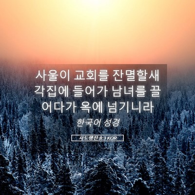 Picture 05 - 사도행전 8:3 KOR - 사울이 교회를 잔멸할새 각집에 - Bible Verse Picture