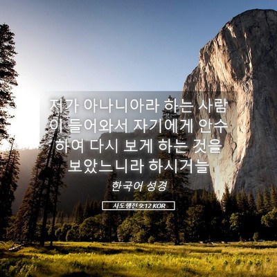 Picture 05 - 사도행전 9:12 KOR - 저가 아나니아라 하는 사람이 - Bible Verse Picture