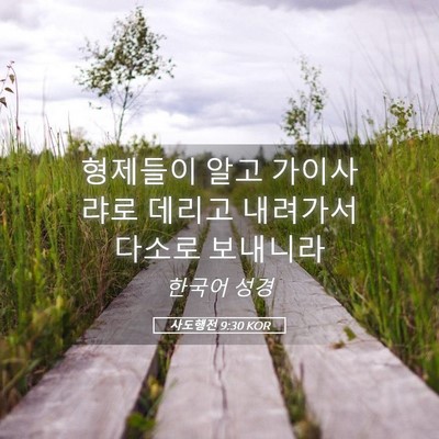 Picture 05 - 사도행전 9:30 KOR - 형제들이 알고 가이사랴로 데리고 - Bible Verse Picture