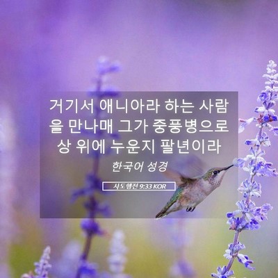 Picture 05 - 사도행전 9:33 KOR - 거기서 애니아라 하는 사람을 만나매 - Bible Verse Picture