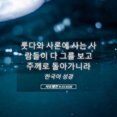 Picture 05 - 사도행전 9:35 KOR - 룻다와 사론에 사는 사람들이 다 - Bible Verse Picture