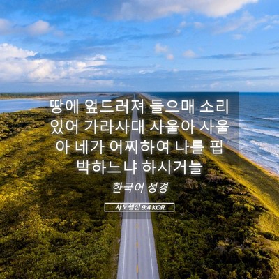 Picture 05 - 사도행전 9:4 KOR - 땅에 엎드러져 들으매 소리 있어 - Bible Verse Picture