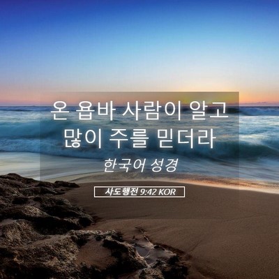 Picture 05 - 사도행전 9:42 KOR - 온 욥바 사람이 알고 많이 주를 - Bible Verse Picture