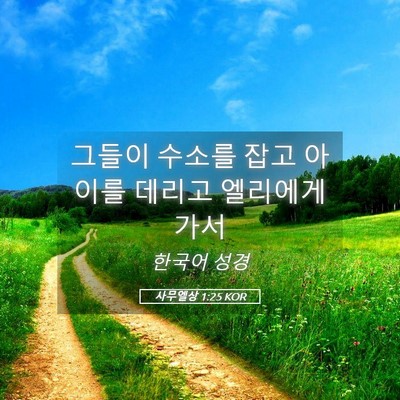 Picture 05 - 사무엘상 1:25 KOR - 그들이 수소를 잡고 아이를 데리고 - Bible Verse Picture