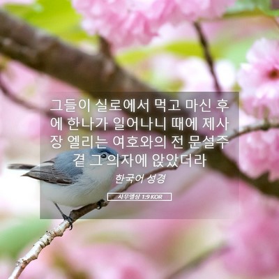 Picture 05 - 사무엘상 1:9 KOR - 그들이 실로에서 먹고 마신 후에 - Bible Verse Picture