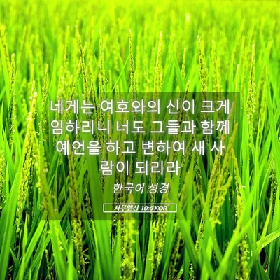 Picture 05 - 사무엘상 10:6 KOR - 네게는 여호와의 신이 크게 임하리니 - Bible Verse Picture