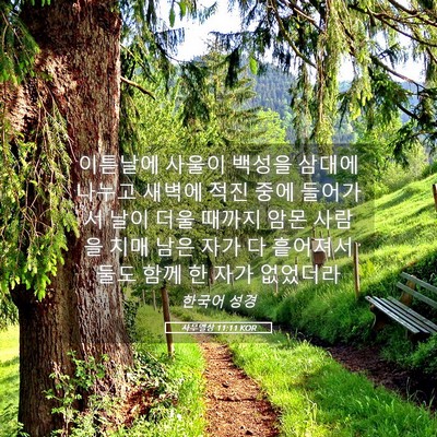 Picture 05 - 사무엘상 11:11 KOR - 이튿날에 사울이 백성을 삼대에 - Bible Verse Picture