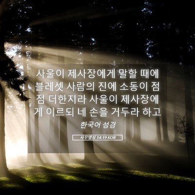 Picture 05 - 사무엘상 14:19 KOR - 사울이 제사장에게 말할 때에 블레셋 - Bible Verse Picture