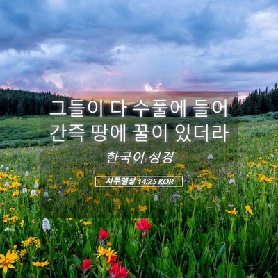 Picture 05 - 사무엘상 14:25 KOR - 그들이 다 수풀에 들어간즉 땅에 - Bible Verse Picture