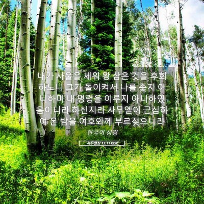 Picture 05 - 사무엘상 15:11 KOR - 내가 사울을 세워 왕 삼은 것을 - Bible Verse Picture