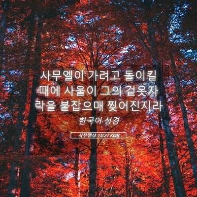 Picture 05 - 사무엘상 15:27 KOR - 사무엘이 가려고 돌이킬 때에 사울이 - Bible Verse Picture