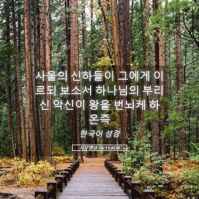 Picture 05 - 사무엘상 16:15 KOR - 사울의 신하들이 그에게 이르되 - Bible Verse Picture