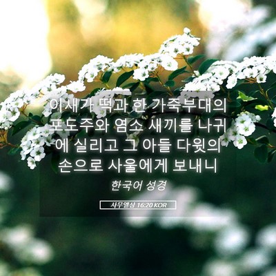 Picture 05 - 사무엘상 16:20 KOR - 이새가 떡과 한 가죽부대의 포도주와 - Bible Verse Picture