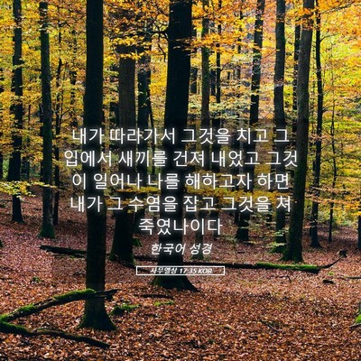 Picture 05 - 사무엘상 17:35 KOR - 내가 따라가서 그것을 치고 그 - Bible Verse Picture