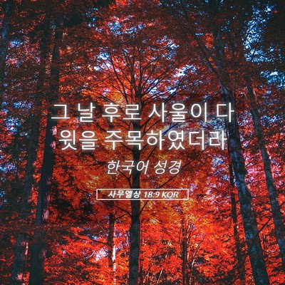 Picture 05 - 사무엘상 18:9 KOR - 그 날 후로 사울이 다윗을 - Bible Verse Picture