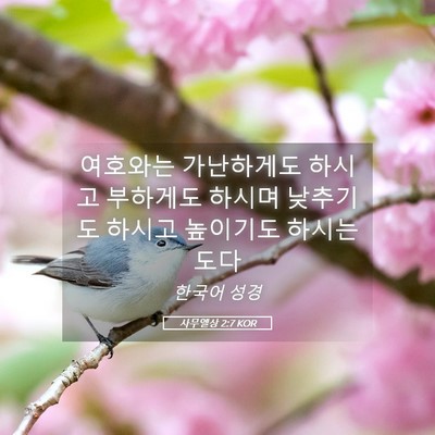 Picture 05 - 사무엘상 2:7 KOR - 여호와는 가난하게도 하시고 - Bible Verse Picture