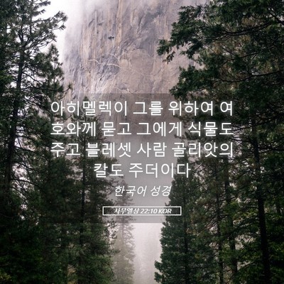 Picture 05 - 사무엘상 22:10 KOR - 아히멜렉이 그를 위하여 여호와께 - Bible Verse Picture