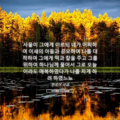 Picture 05 - 사무엘상 22:13 KOR - 사울이 그에게 이르되 네가 어찌하여 - Bible Verse Picture