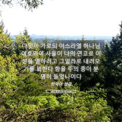 Picture 05 - 사무엘상 23:10 KOR - 다윗이 가로되 이스라엘 하나님 - Bible Verse Picture