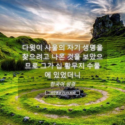Picture 05 - 사무엘상 23:15 KOR - 다윗이 사울의 자기 생명을 찾으려고 - Bible Verse Picture