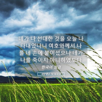 Picture 05 - 사무엘상 24:18 KOR - 네가 나 선대한 것을 오늘 - Bible Verse Picture