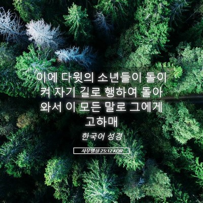 Picture 05 - 사무엘상 25:12 KOR - 이에 다윗의 소년들이 돌이켜 자기 - Bible Verse Picture