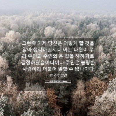 Picture 05 - 사무엘상 25:17 KOR - 그런즉 이제 당신은 어떻게 할 것을 - Bible Verse Picture