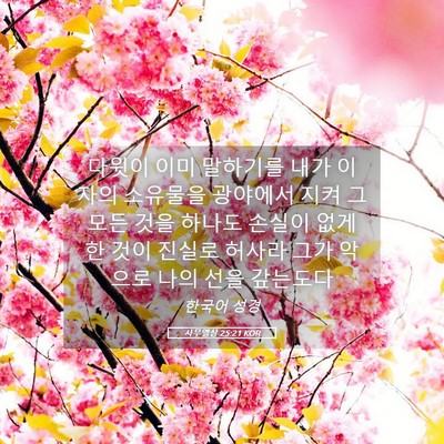 Picture 05 - 사무엘상 25:21 KOR - 다윗이 이미 말하기를 내가 이 자의 - Bible Verse Picture