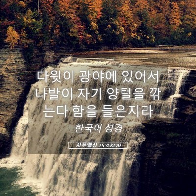 Picture 05 - 사무엘상 25:4 KOR - 다윗이 광야에 있어서 나발이 자기 - Bible Verse Picture