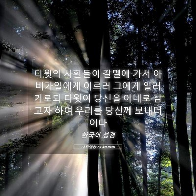 Picture 05 - 사무엘상 25:40 KOR - 다윗의 사환들이 갈멜에 가서 - Bible Verse Picture