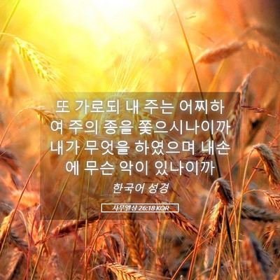 Picture 05 - 사무엘상 26:18 KOR - 또 가로되 내 주는 어찌하여 주의 - Bible Verse Picture