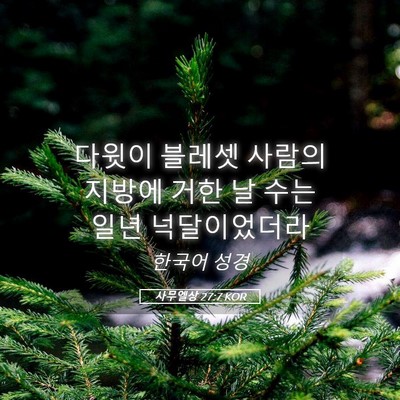 Picture 05 - 사무엘상 27:7 KOR - 다윗이 블레셋 사람의 지방에 거한 - Bible Verse Picture