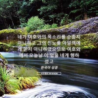 Picture 05 - 사무엘상 28:18 KOR - 네가 여호와의 목소리를 순종치 - Bible Verse Picture