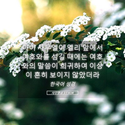 Picture 05 - 사무엘상 3:1 KOR - 아이 사무엘이 엘리 앞에서 여호와를 - Bible Verse Picture
