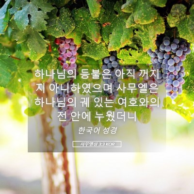 Picture 05 - 사무엘상 3:3 KOR - 하나님의 등불은 아직 꺼지지 - Bible Verse Picture