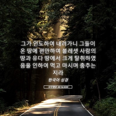 Picture 05 - 사무엘상 30:16 KOR - 그가 인도하여 내려가니 그들이 온 - Bible Verse Picture