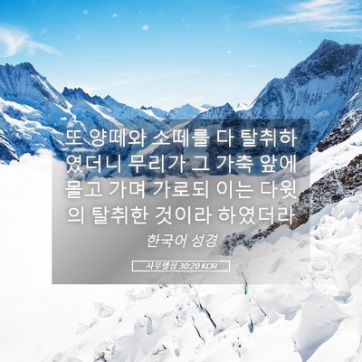 Picture 05 - 사무엘상 30:20 KOR - 또 양떼와 소떼를 다 탈취하였더니 - Bible Verse Picture