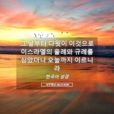 Picture 05 - 사무엘상 30:25 KOR - 그 날부터 다윗이 이것으로 - Bible Verse Picture