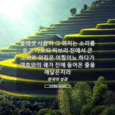 Picture 05 - 사무엘상 4:6 KOR - 블레셋 사람이 그 외치는 소리를 - Bible Verse Picture