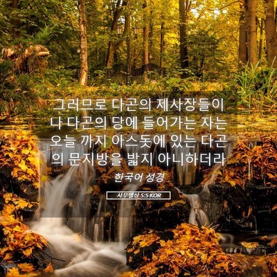 Picture 05 - 사무엘상 5:5 KOR - 그러므로 다곤의 제사장들이나 - Bible Verse Picture