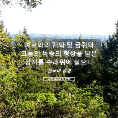 Picture 05 - 사무엘상 6:11 KOR - 여호와의 궤와 및 금쥐와 그들의 - Bible Verse Picture