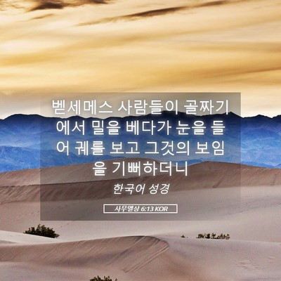 Picture 05 - 사무엘상 6:13 KOR - 벧세메스 사람들이 골짜기에서 밀을 - Bible Verse Picture