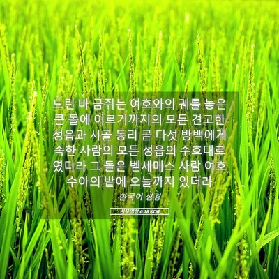 Picture 05 - 사무엘상 6:18 KOR - 드린 바 금쥐는 여호와의 궤를 놓은 - Bible Verse Picture