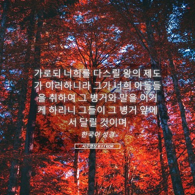 Picture 05 - 사무엘상 8:11 KOR - 가로되 너희를 다스릴 왕의 제도가 - Bible Verse Picture