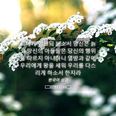 Picture 05 - 사무엘상 8:5 KOR - 그에게 이르되 보소서 당신은 늙고 - Bible Verse Picture
